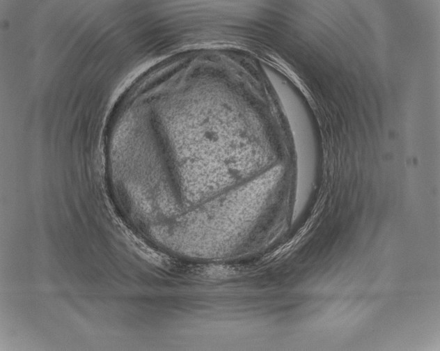 X0000076300787200610161552