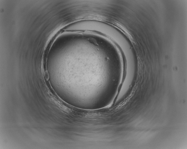 X0000076300788200610161552