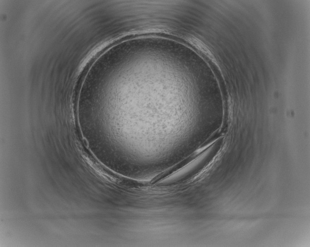 X0000076300789200610161552