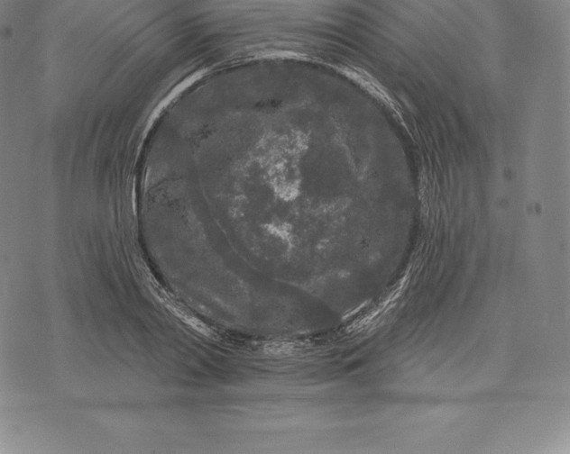 X0000076300790200610161552