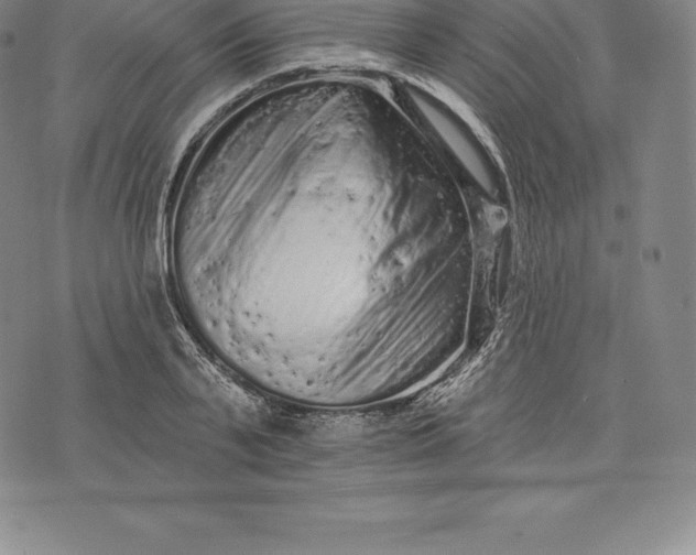 X0000076300791200610161552