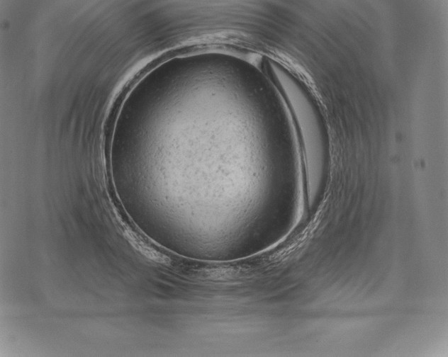 X0000076300792200610161552