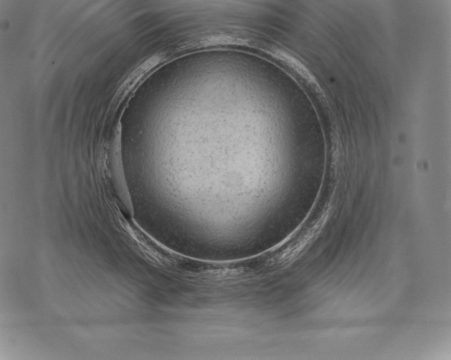 X0000076300793200610161552