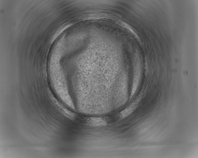 X0000076300794200610161552