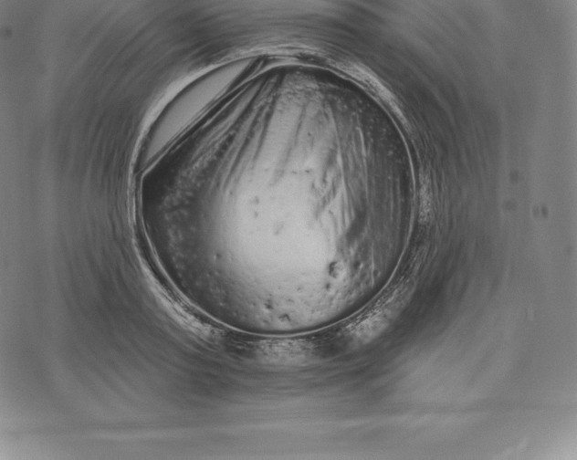 X0000076300795200610161552