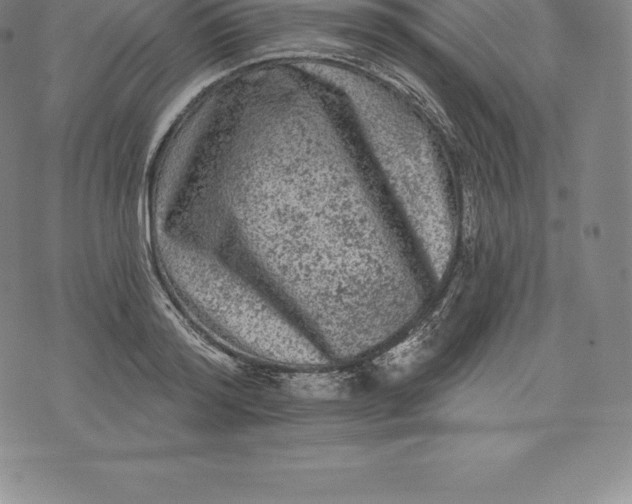 X0000076300796200610161552