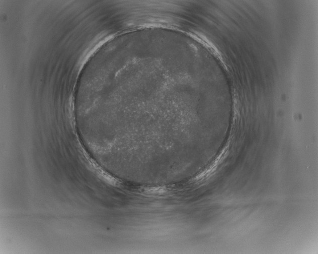 X0000076300798200610161552