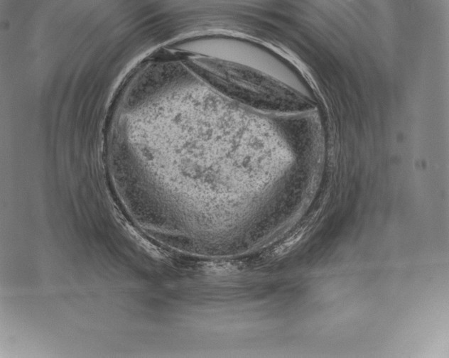 X0000076300799200610161552