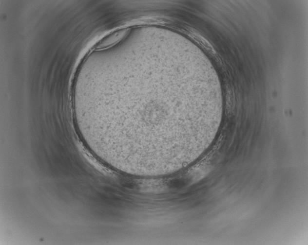 X0000076300800200610161552