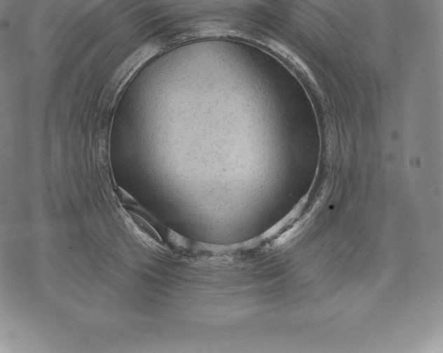 X0000076300801200610161552