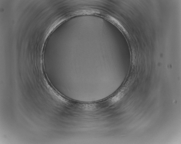 X0000076300802200610161552