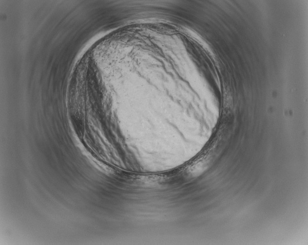 X0000076300803200610161552