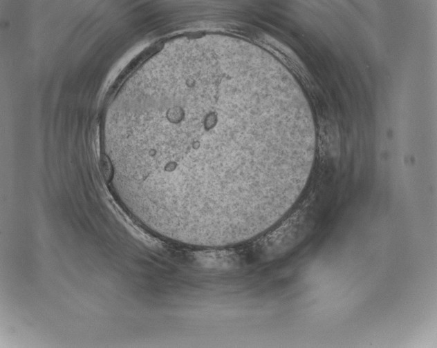 X0000076300804200610161552