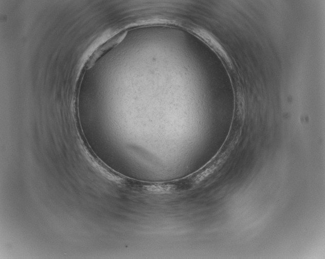 X0000076300805200610161552