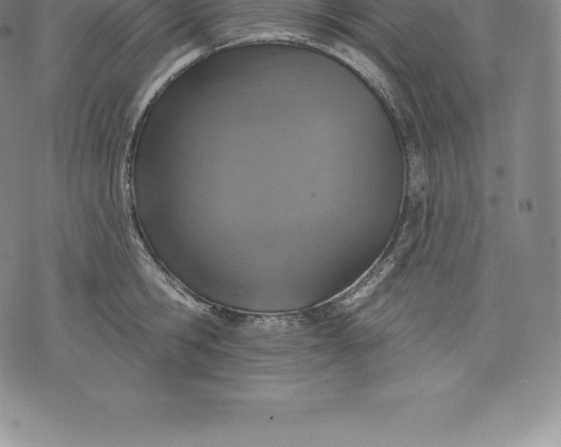 X0000076300806200610161552