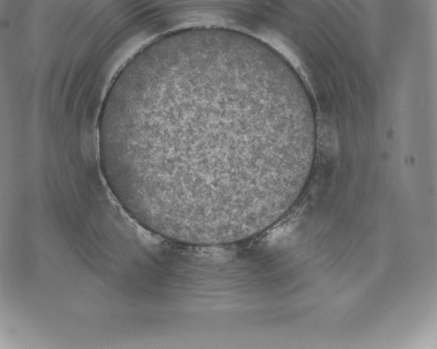 X0000076300807200610161552