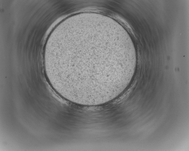 X0000076300808200610161552