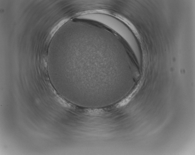 X0000076300809200610161552