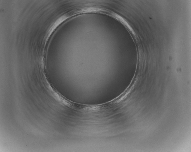 X0000076300810200610161552