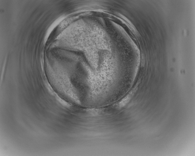 X0000076300812200610161552