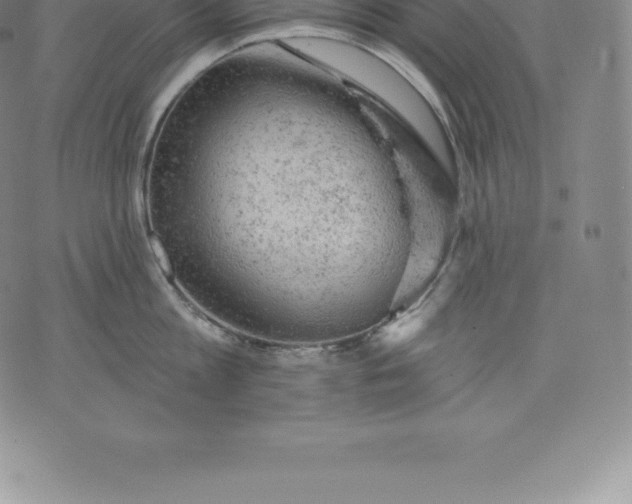 X0000076300813200610161552