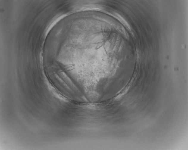 X0000076300814200610161552