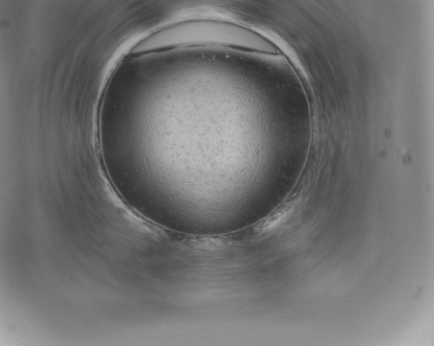 X0000076300815200610161552