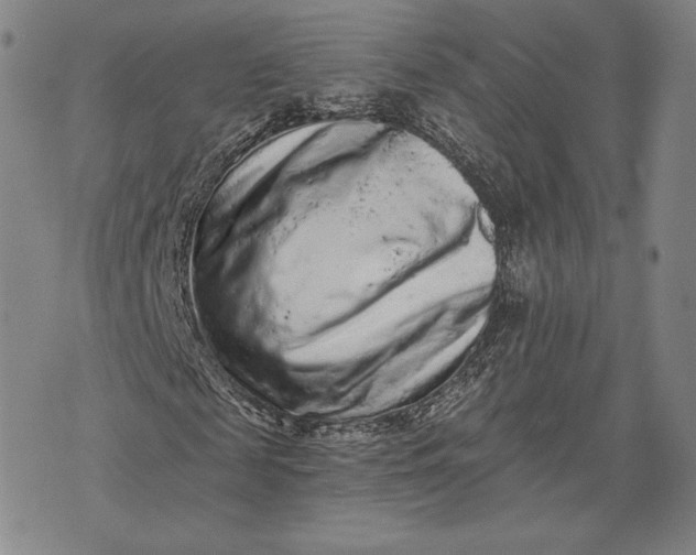 X0000076300817200610161551