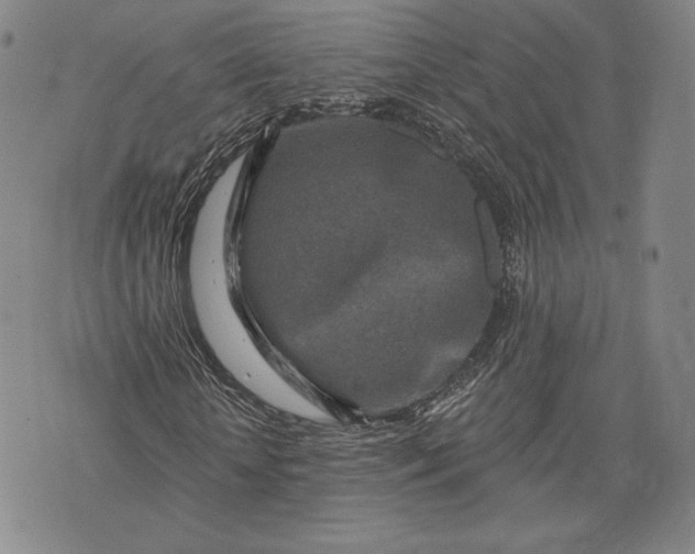 X0000076300818200610161551