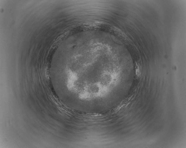 X0000076300819200610161551