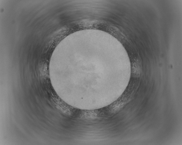 X0000076300820200610161551