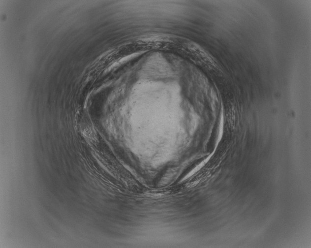 X0000076300821200610161551