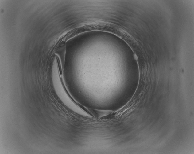 X0000076300822200610161551