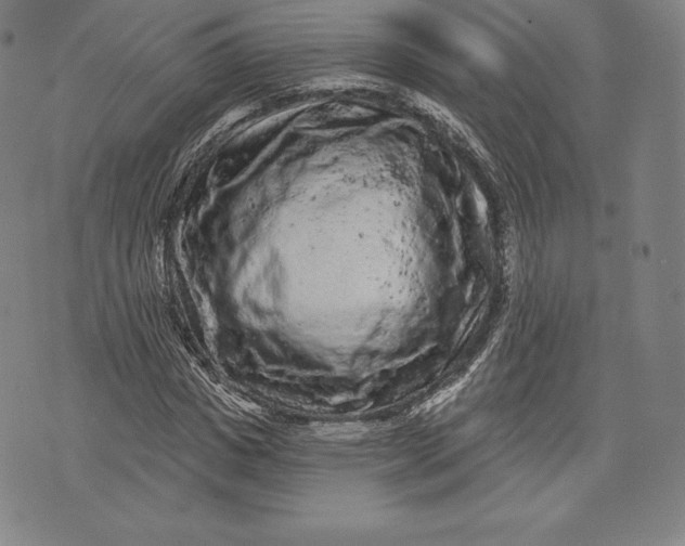 X0000076300825200610161551