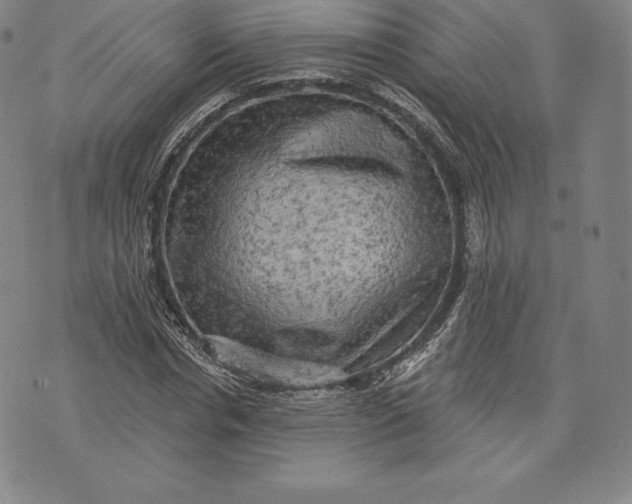 X0000076300826200610161551