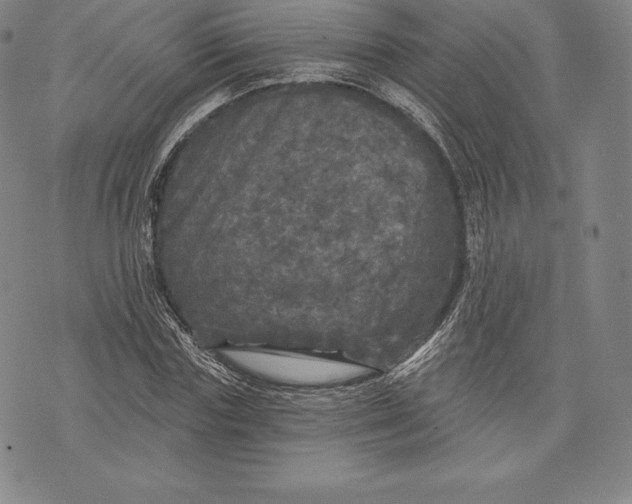 X0000076300827200610161551