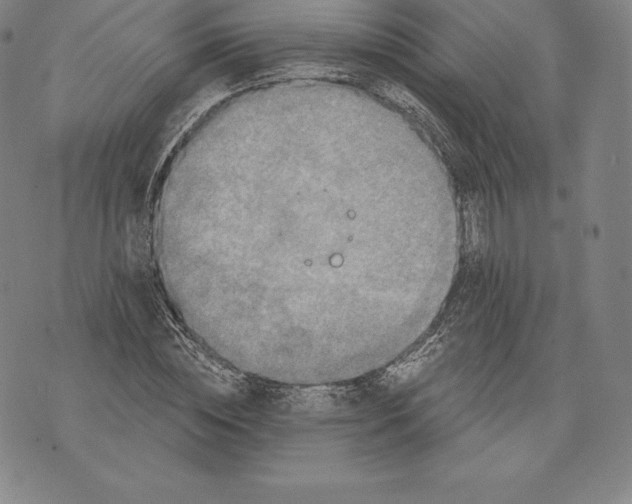 X0000076300828200610161551