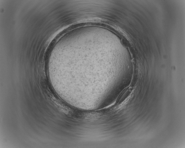 X0000076300830200610161551