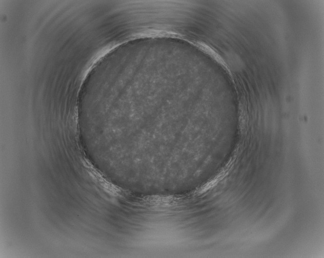 X0000076300831200610161551