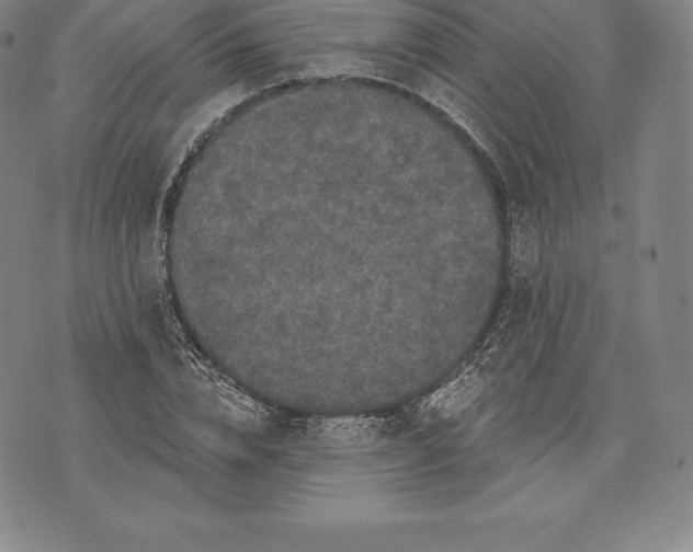 X0000076300832200610161551