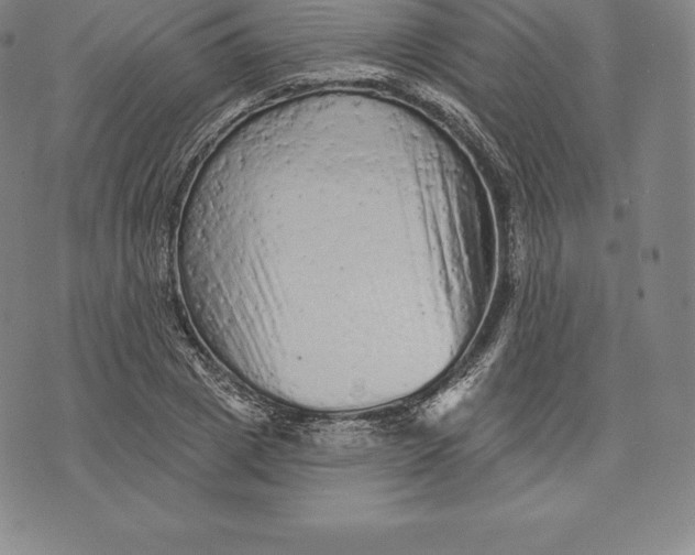 X0000076300833200610161551