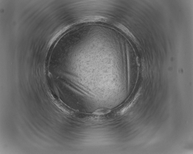 X0000076300834200610161551