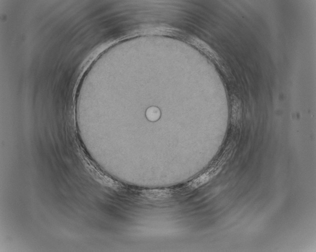 X0000076300836200610161551