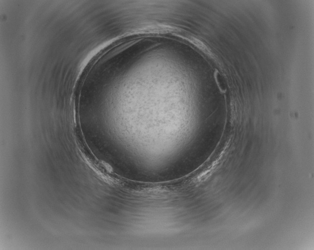 X0000076300838200610161551