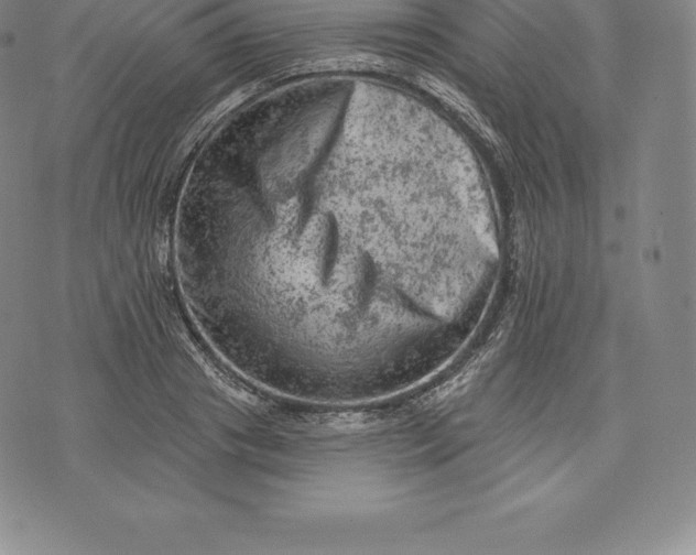 X0000076300841200610161551