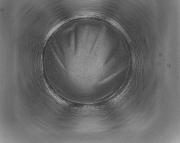 X0000076300842200610161551