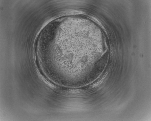 X0000076300843200610161551