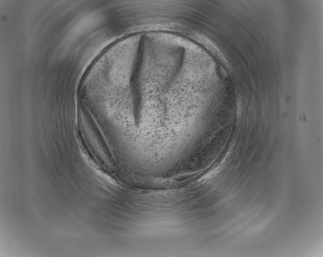 X0000076300844200610161551