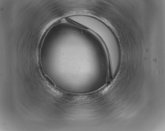 X0000076300846200610161551