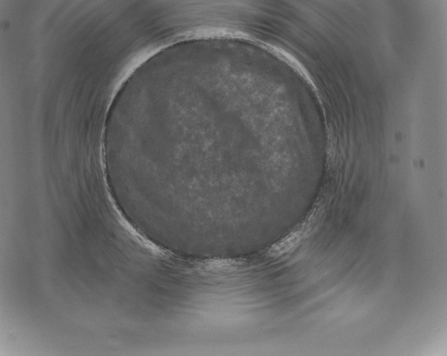 X0000076300847200610161551